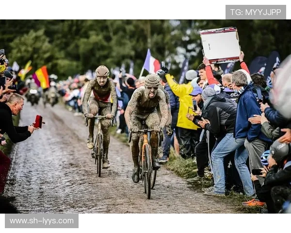 前进鹰与登博思的激烈对决谁能在赛场上笑到最后